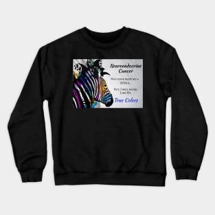 Neuroendocrine Cancer Support and Awareness Crewneck Sweatshirt